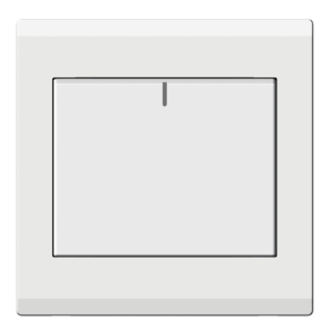 1 Gang Switch