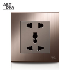 2Pin & Multifunction with Socket